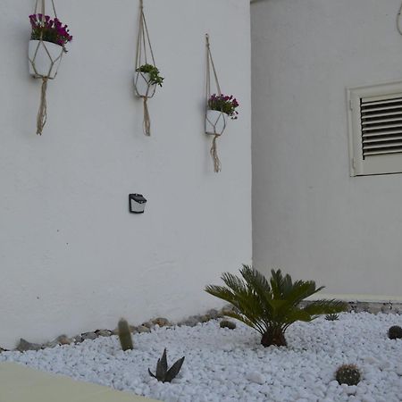 Casa Vacanza Salentina Gagliano del Capo Eksteriør billede